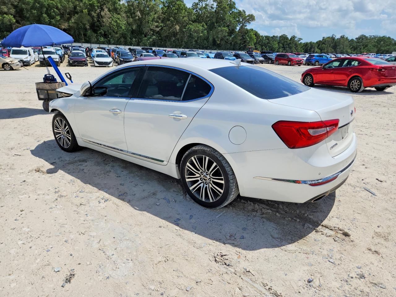 2015 Kia Cadenza Premium White vin: KNALN4D72F5180197
