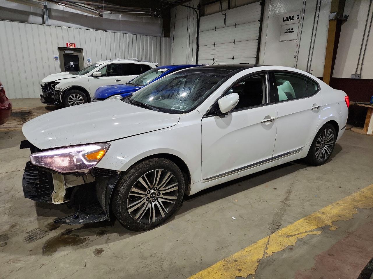 2015 Kia Cadenza Premium White vin: KNALN4D73F5168785