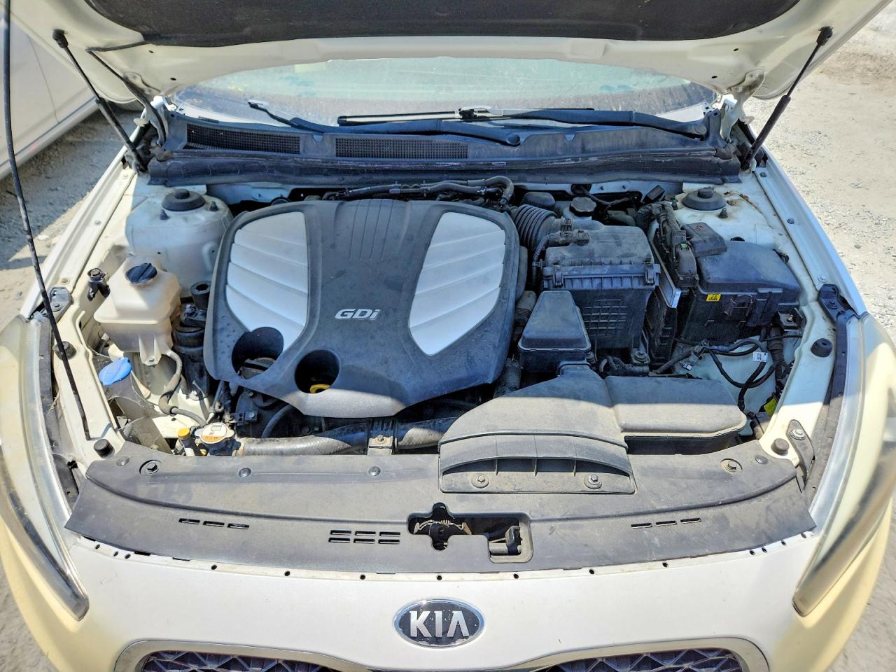 2015 Kia Cadenza Premium White vin: KNALN4D74F5174434
