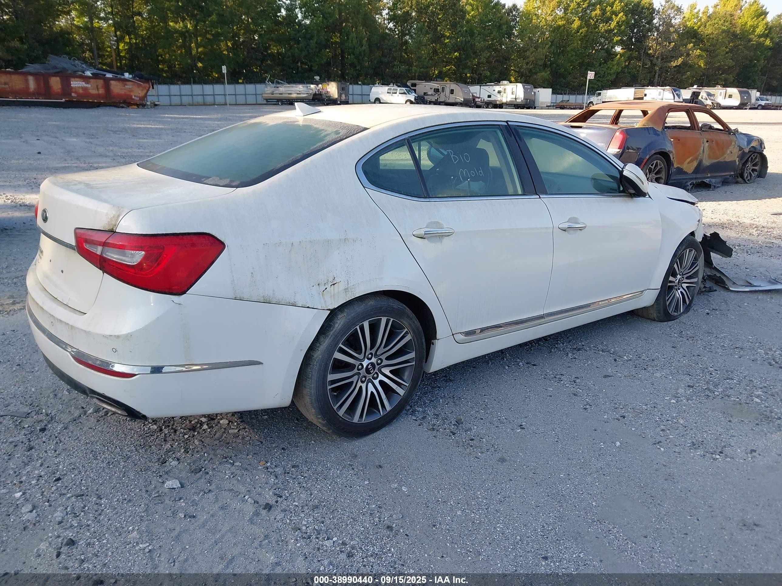 2014 Kia Cadenza Premium White vin: KNALN4D75E5140579