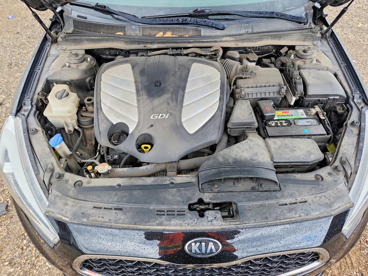 2014 Kia Cadenza Premium Black vin: KNALN4D75E5165949