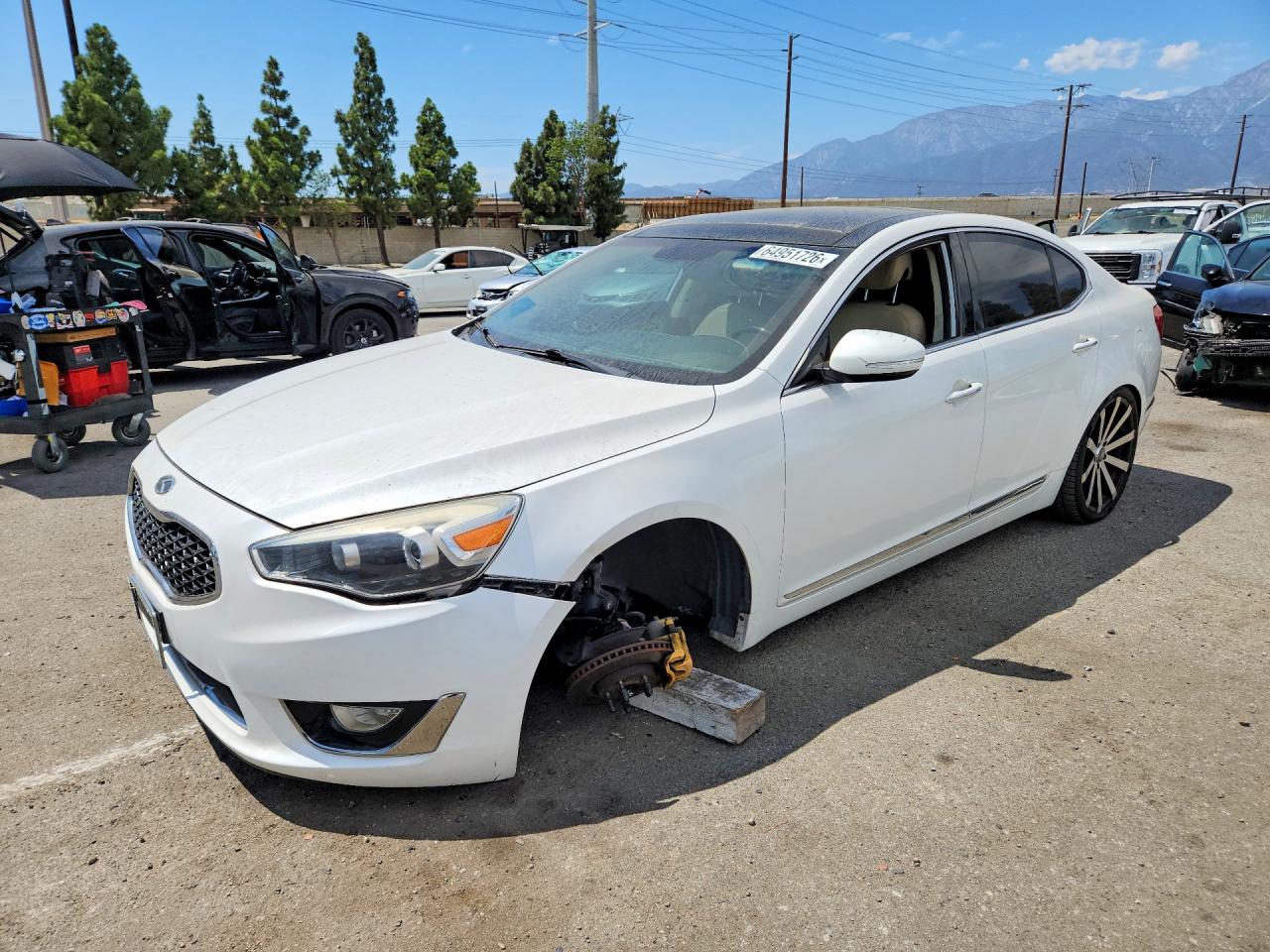 2014 Kia Cadenza Premium Белый vin: KNALN4D76E5137593