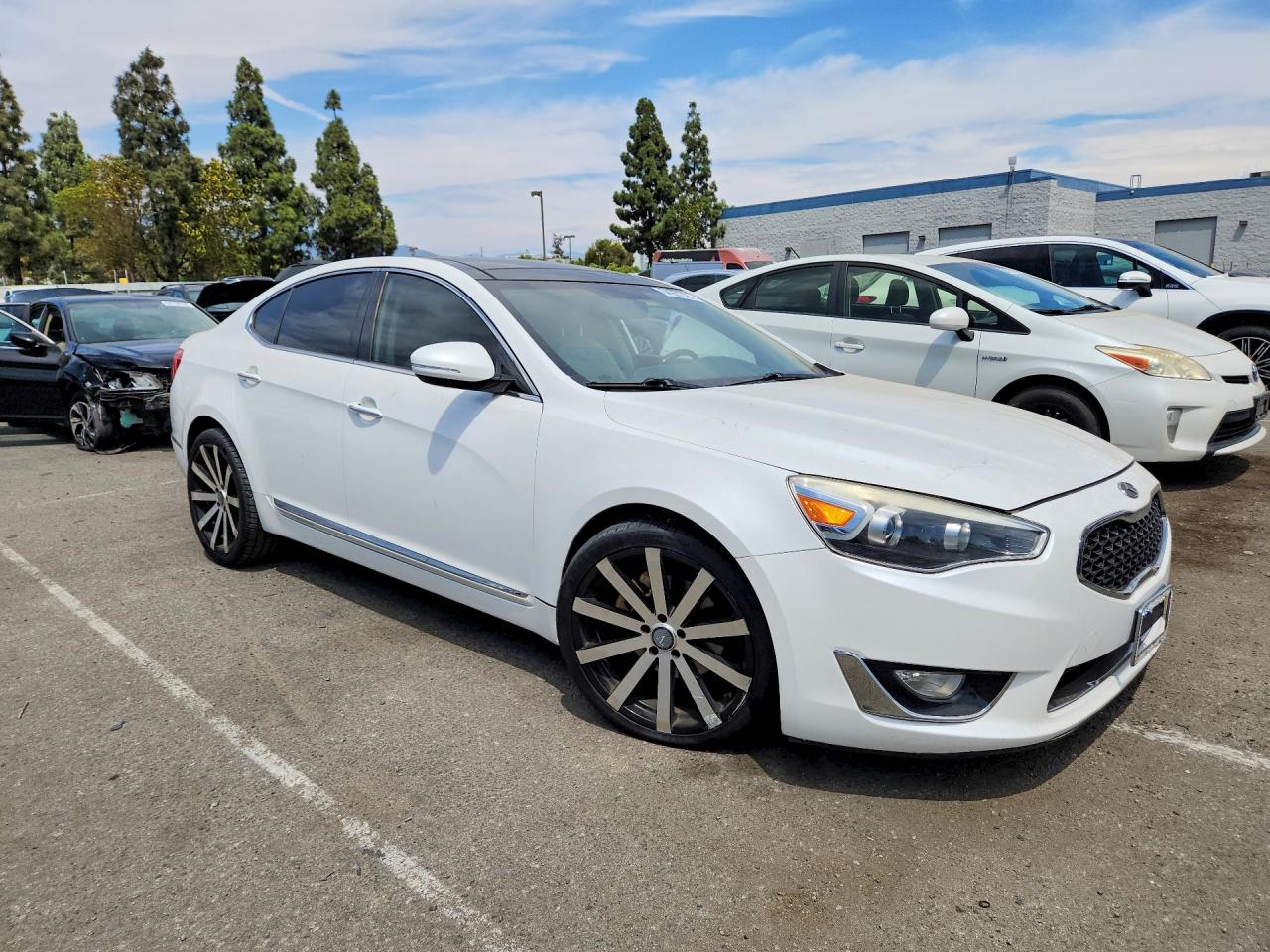 2014 Kia Cadenza Premium Белый vin: KNALN4D76E5137593