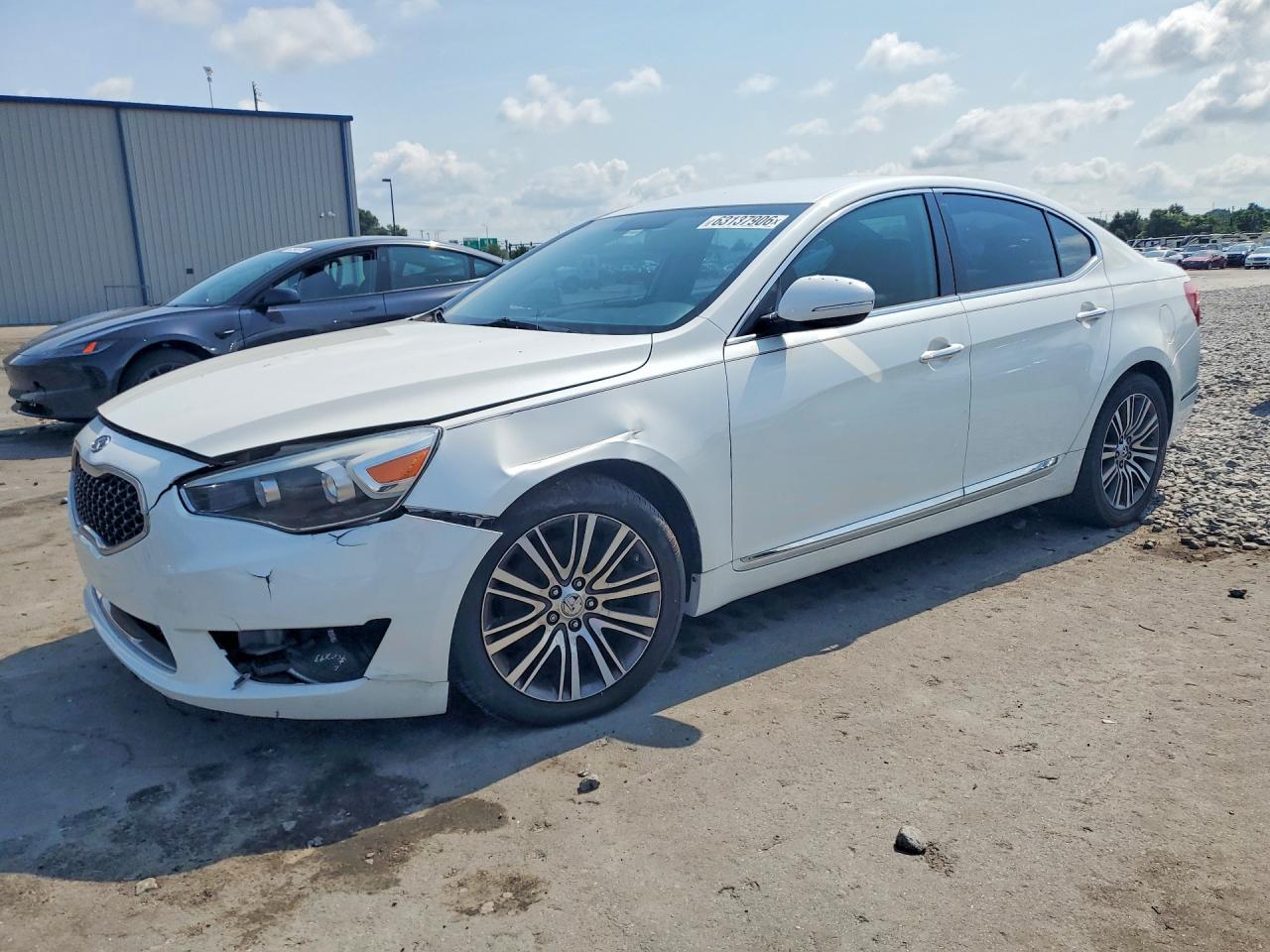2014 Kia Cadenza Premium White vin: KNALN4D77E5144682