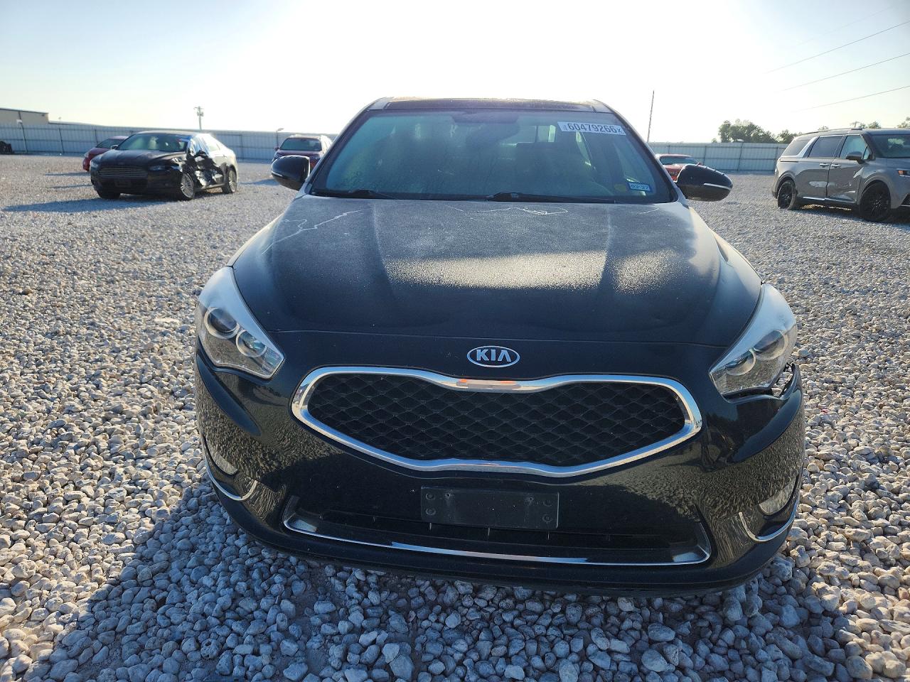2014 Kia Cadenza Premium Black vin: KNALN4D77E5163474