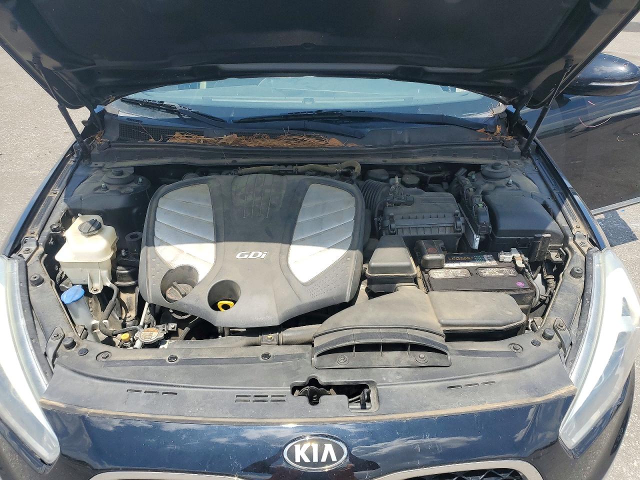 2015 Kia Cadenza Premium Black vin: KNALN4D77F5177604