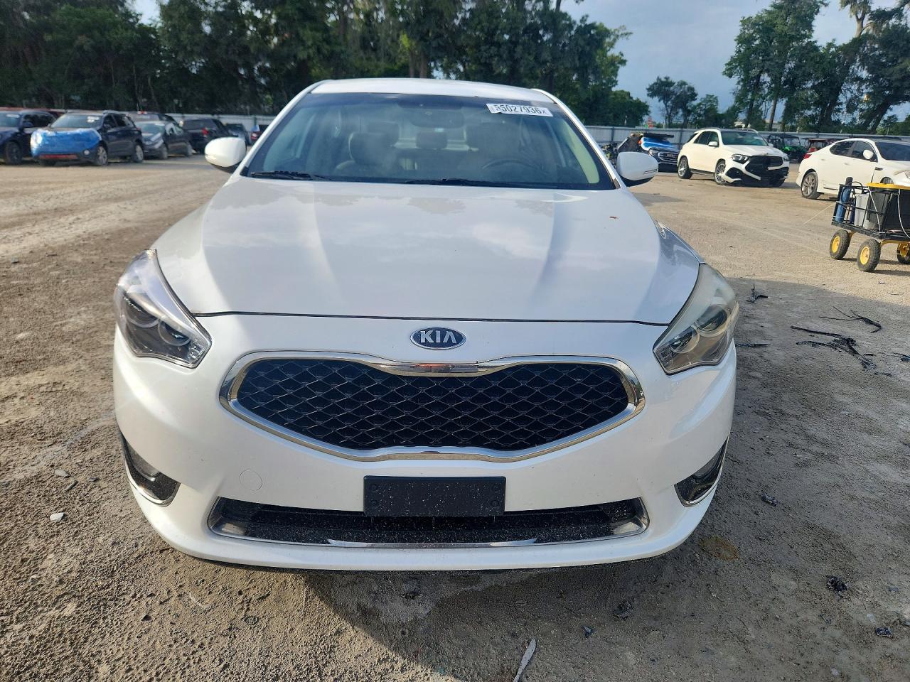 2015 Kia Cadenza Premium Белый vin: KNALN4D78F5181094