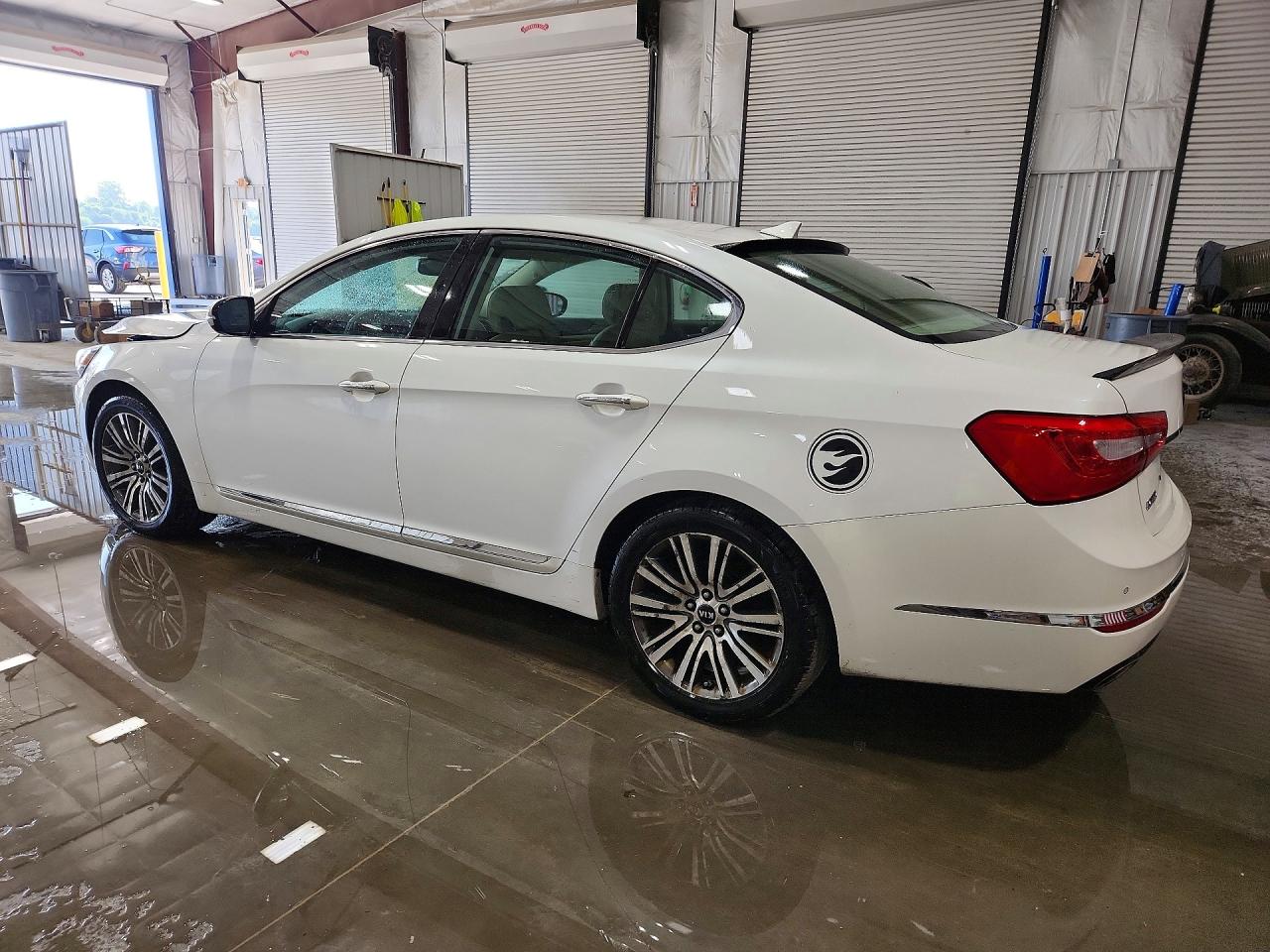 2015 Kia Cadenza Premium White vin: KNALN4D78F5197439