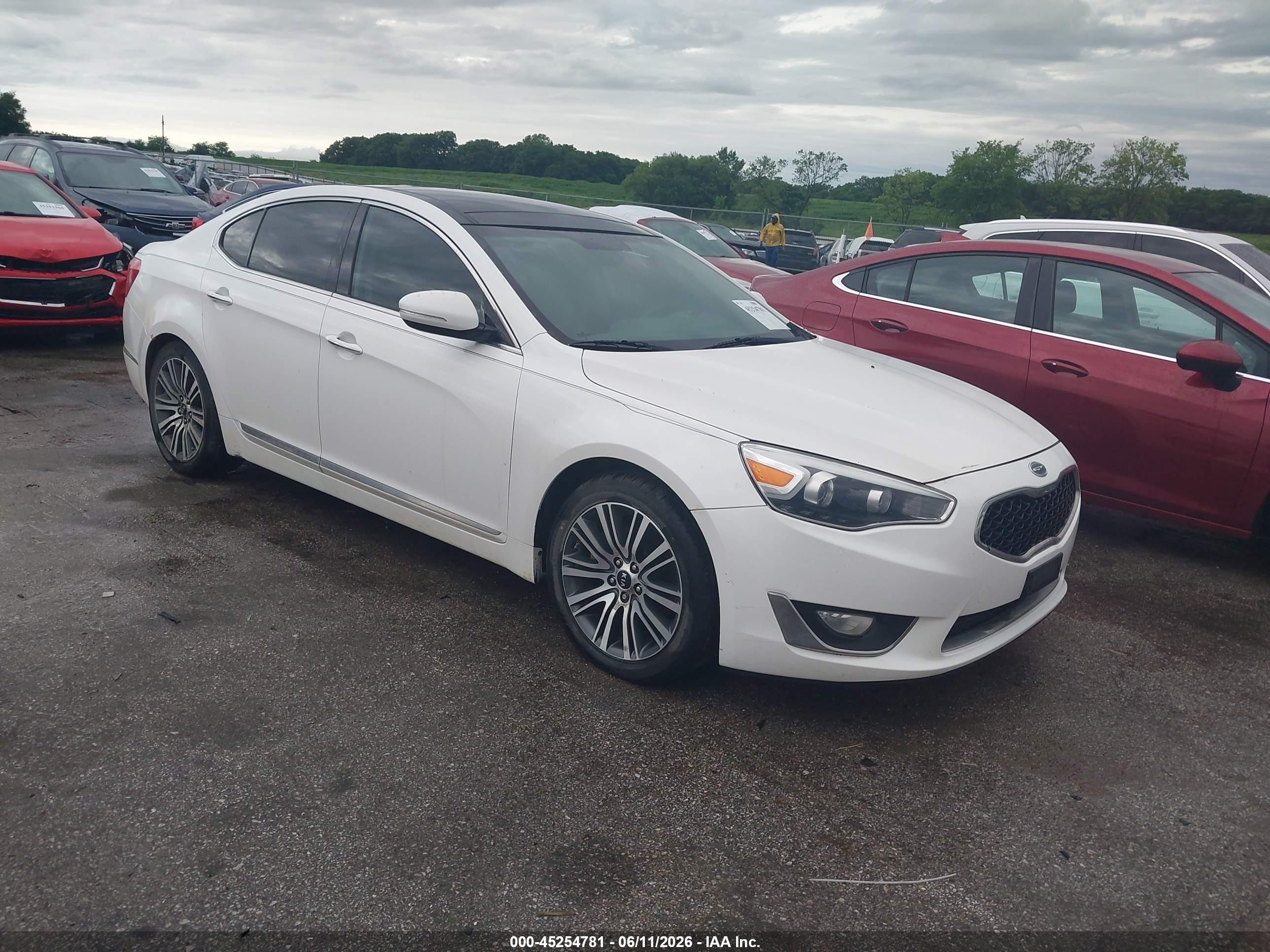 2014 Kia Cadenza Premium White vin: KNALN4D7XE5135099