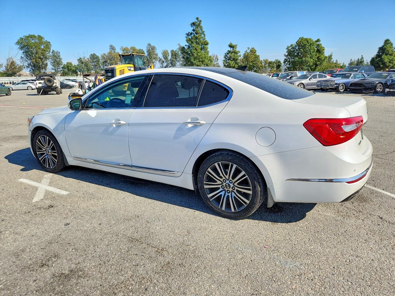 2014 Kia Cadenza Premium White vin: KNALN4D7XE5137662
