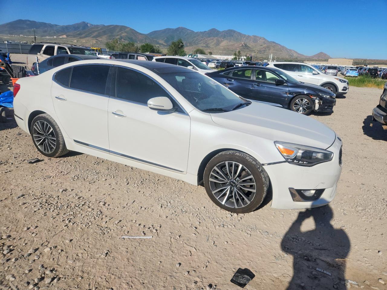 2014 Kia Cadenza Premium White vin: KNALN4D7XE5156034