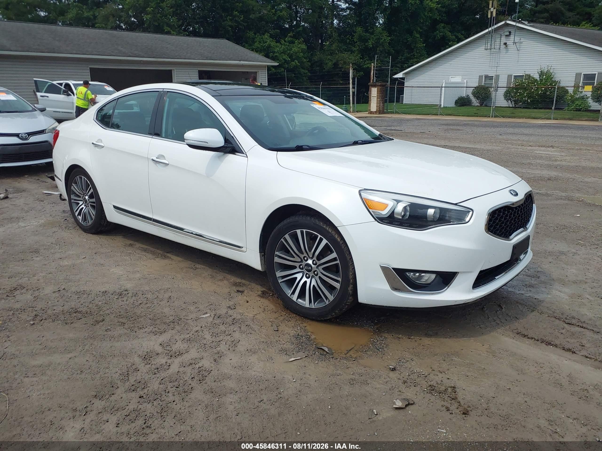 2015 Kia Cadenza Premium White vin: KNALN4D7XF5184854