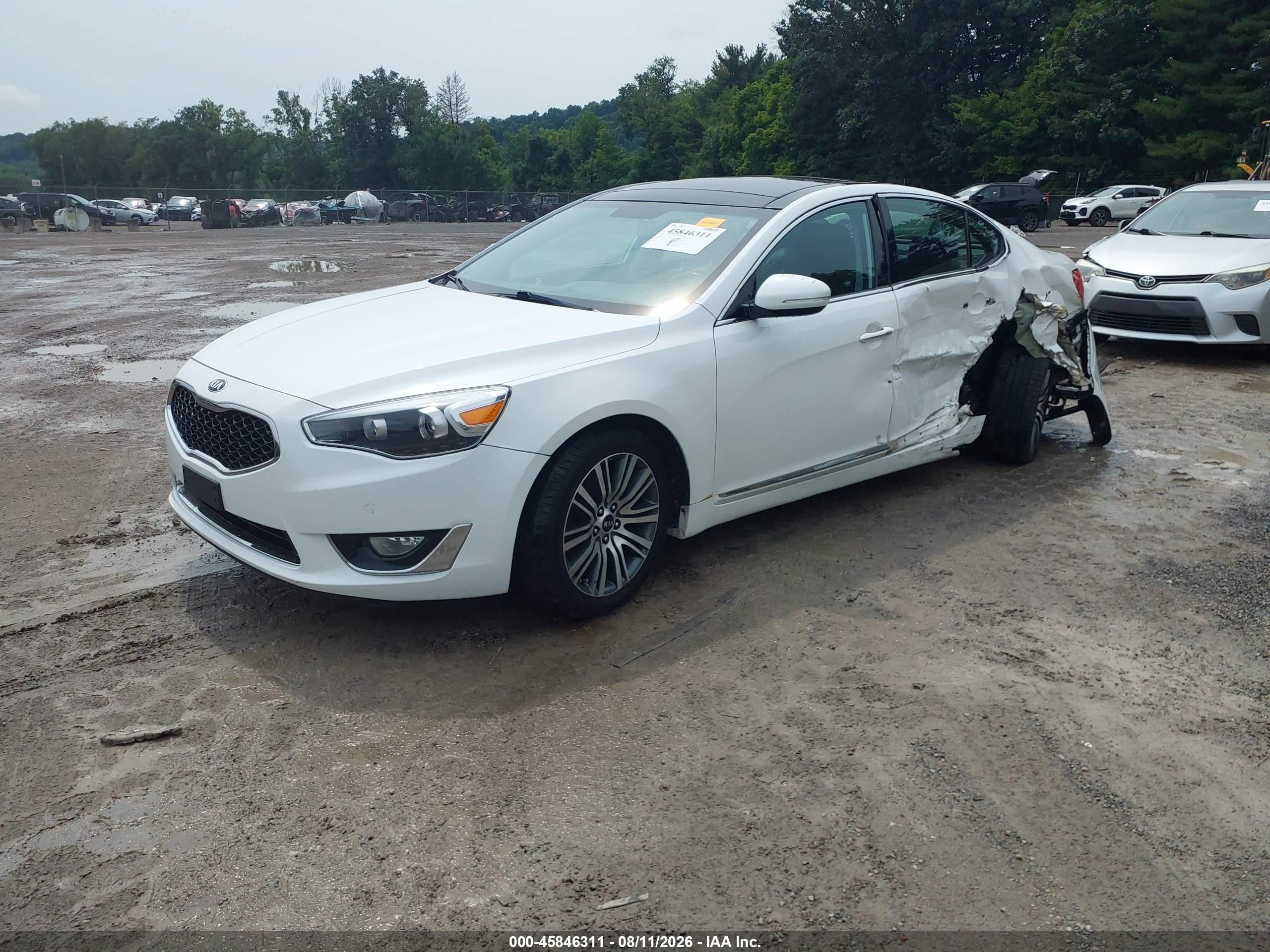 2015 Kia Cadenza Premium White vin: KNALN4D7XF5184854