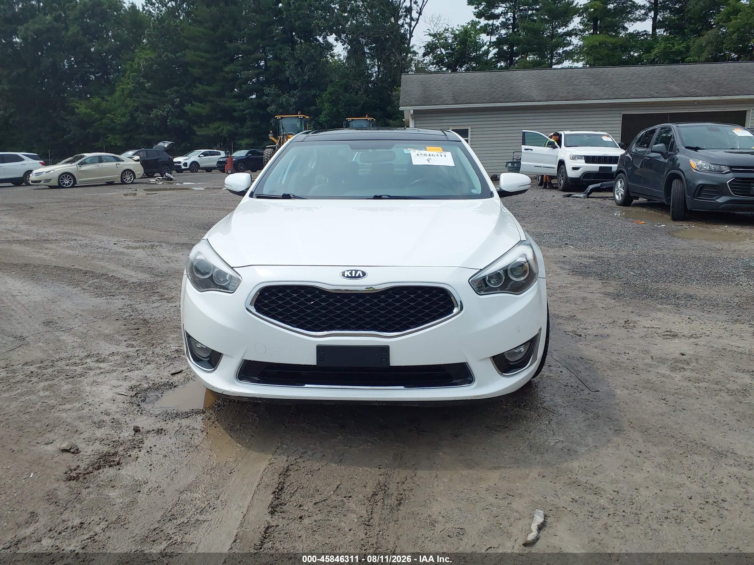 2015 Kia Cadenza Premium White vin: KNALN4D7XF5184854