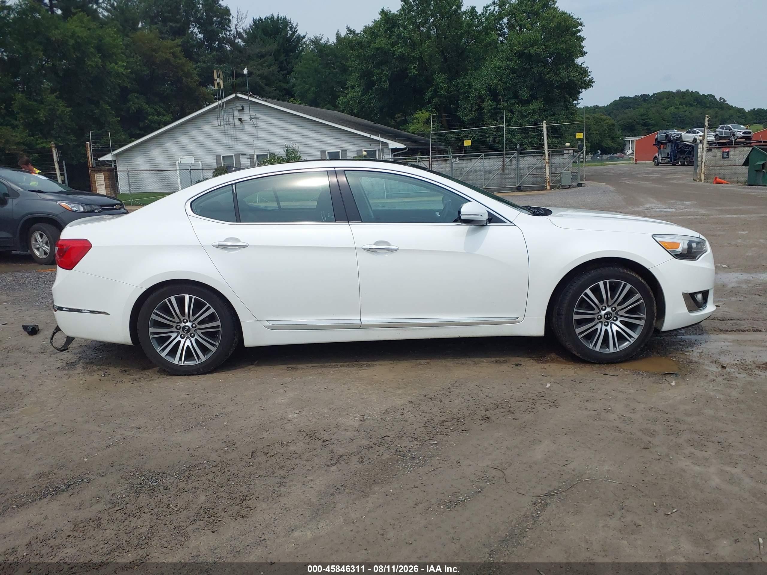 2015 Kia Cadenza Premium White vin: KNALN4D7XF5184854