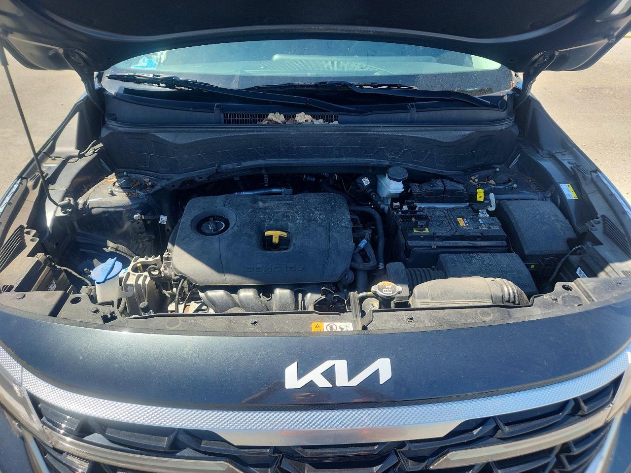 2024 Kia Seltos Ex Gray vin: KNDERCAA2R7527062