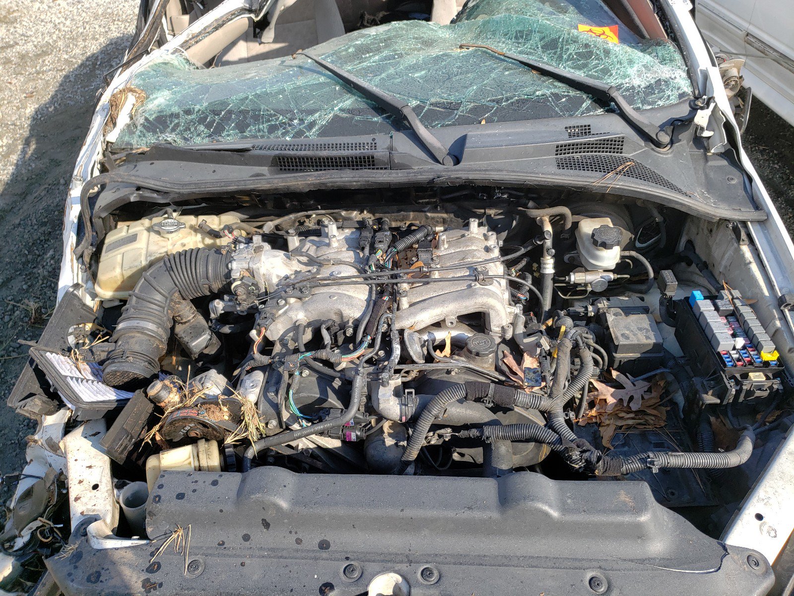 2005 Kia Sorento Ex White vin: KNDJD733255490829