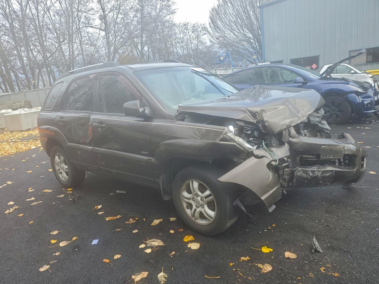 2006 Kia New Sportage Brown vin: KNDJE723167237909