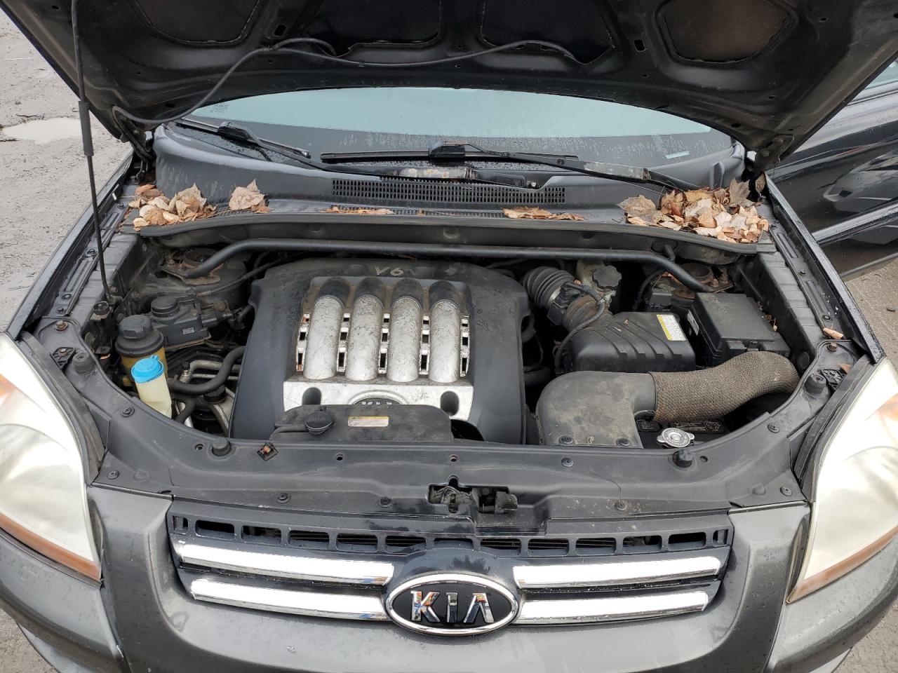 2005 Kia New Sportage Черный vin: KNDJF723357089743