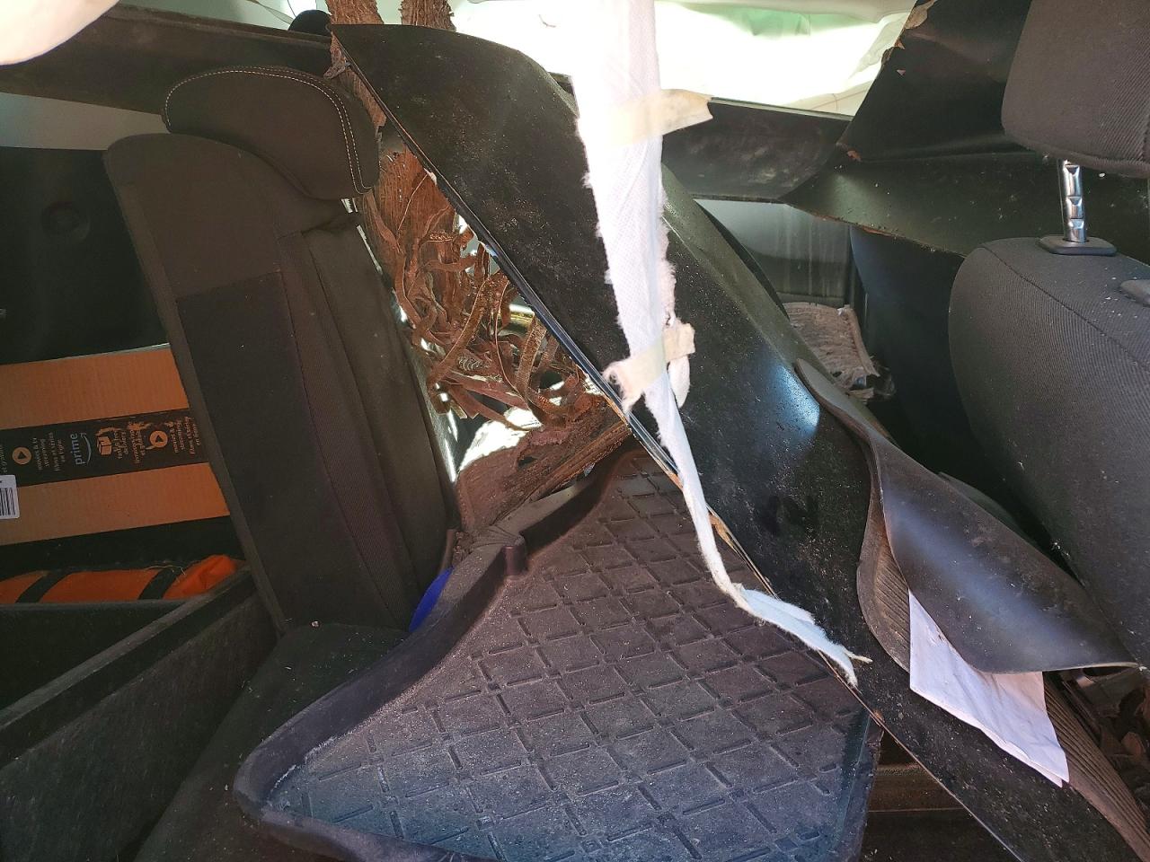 2015 Kia Soul + Black vin: KNDJP3A58F7797075