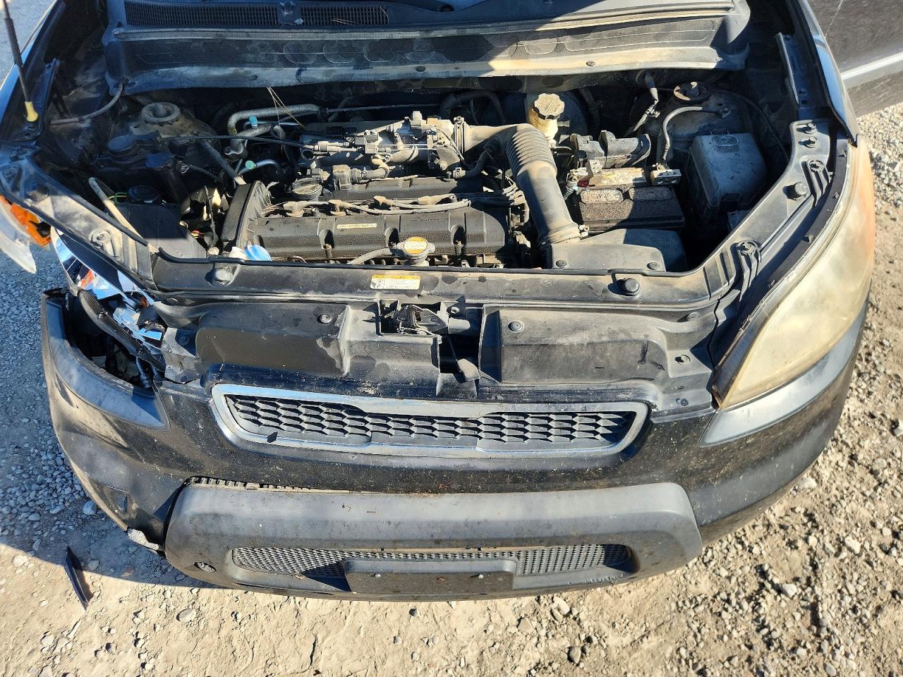 2011 Kia Soul + Black vin: KNDJT2A21B7242328