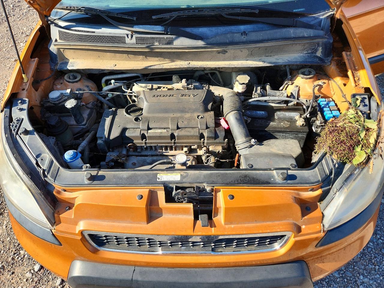 2011 Kia Soul + Orange vin: KNDJT2A26B7304208