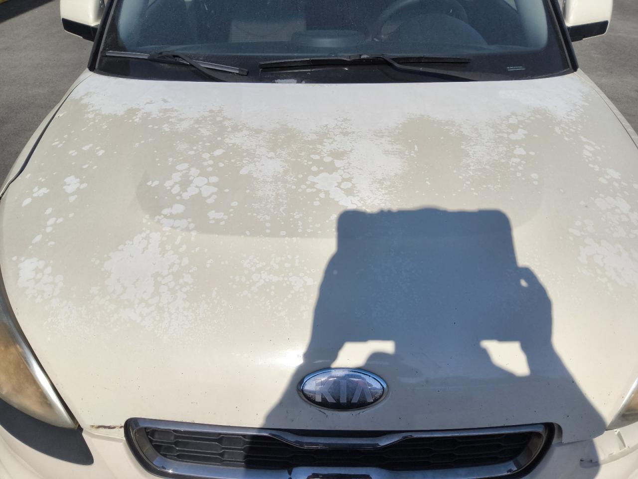 2013 Kia Soul Base White vin: KNDJT2A55D7509323 Damage: Hood, Oxidized, > 12 Inches