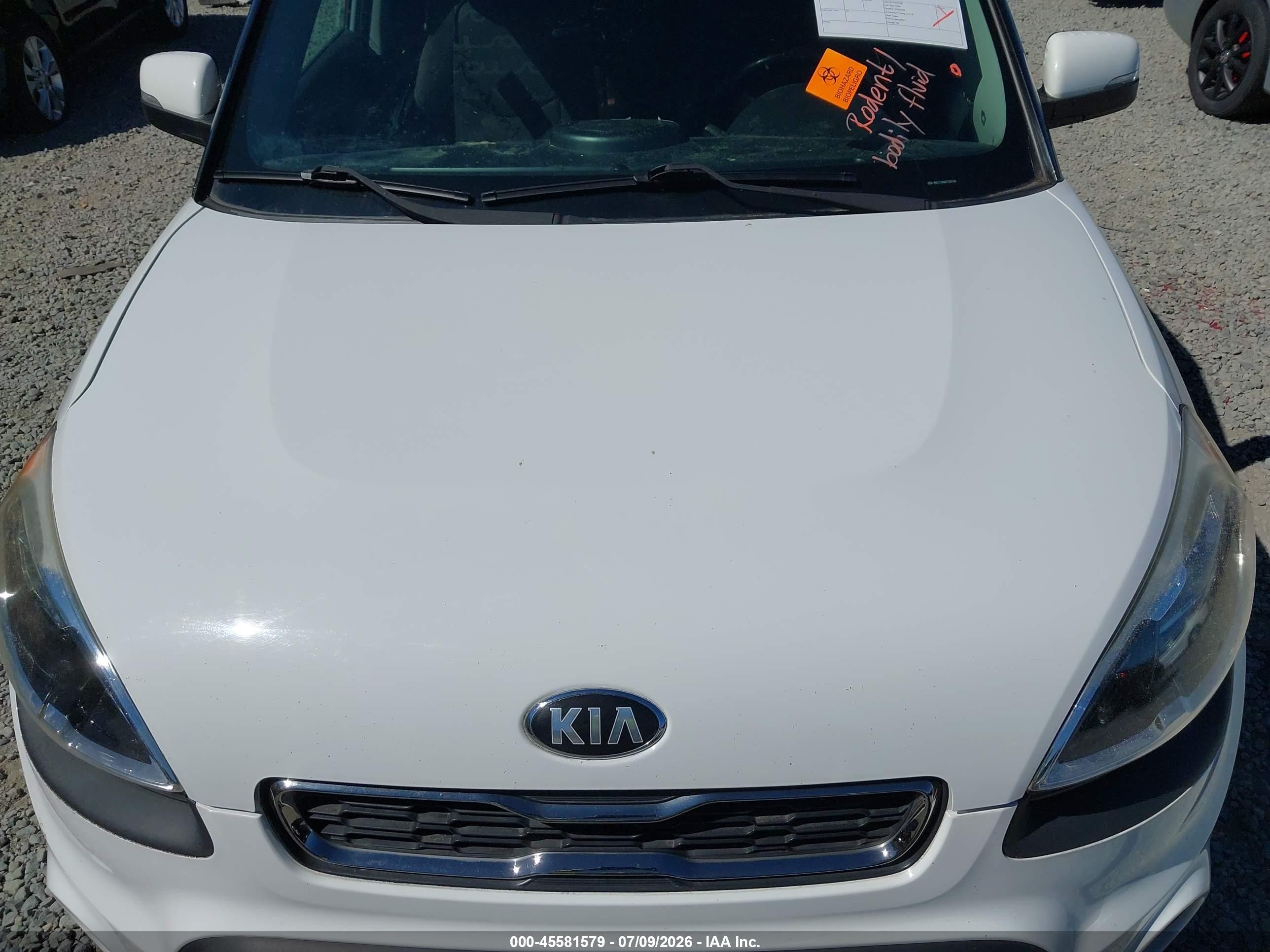 2013 Kia Soul + Белый vin: KNDJT2A66D7506746
