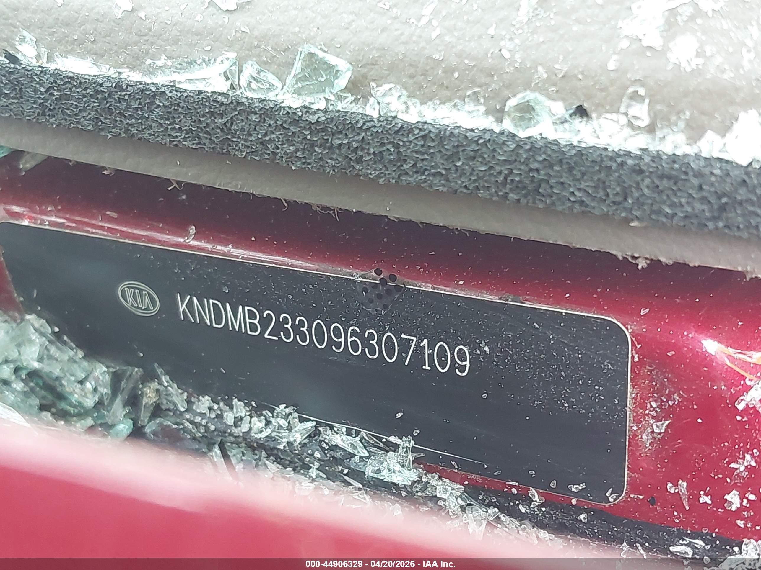 2009 Kia Sedona Lx Red vin: KNDMB233096307109