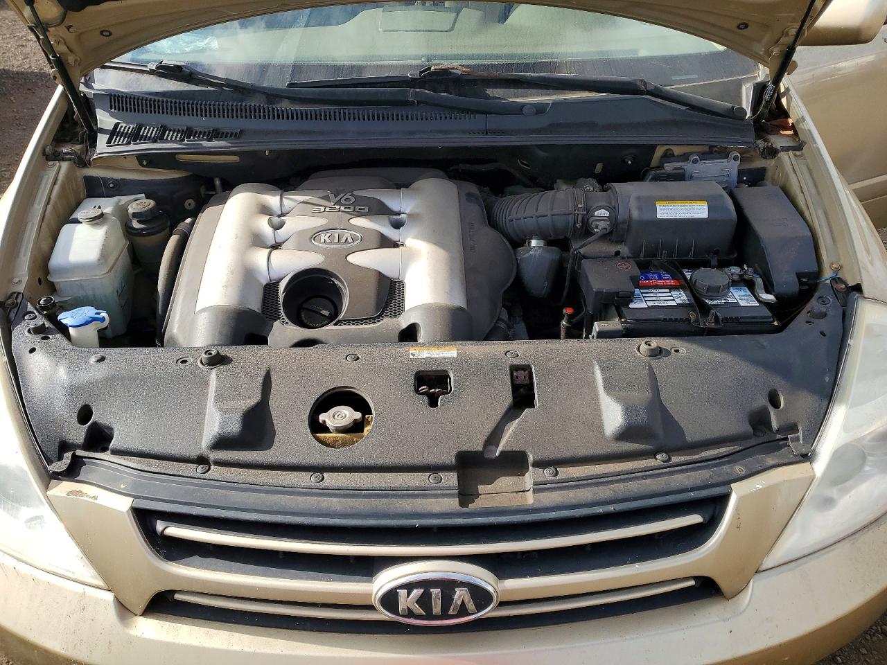 2006 Kia Sedona Lx Tan vin: KNDMB233366055884