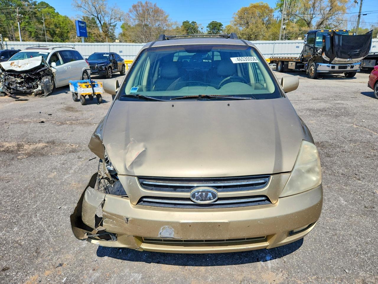 2006 Kia Sedona Gold vin: KNDMB233466063203