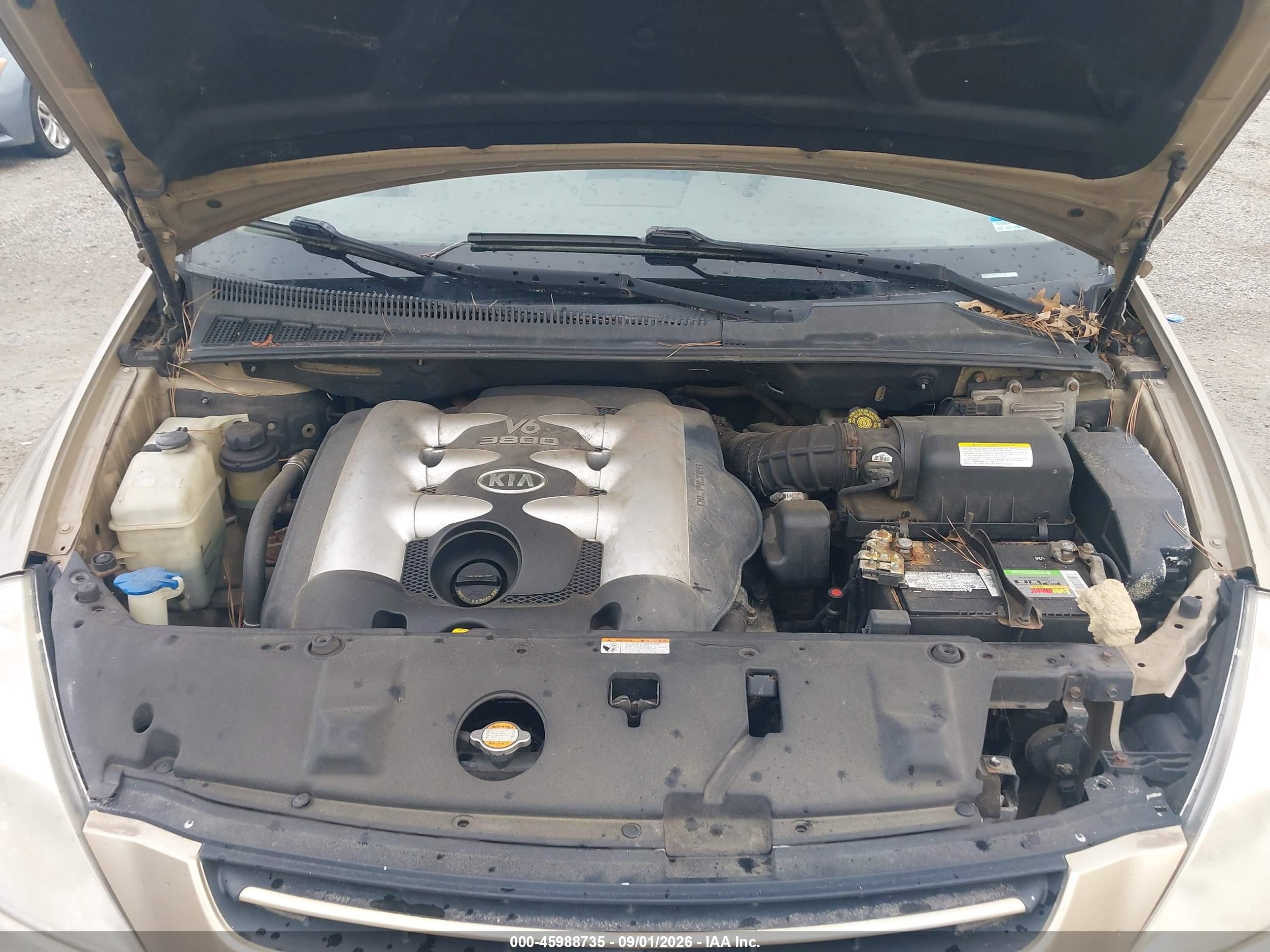 2006 Kia Sedona Ex/lx Gold vin: KNDMB233666096168