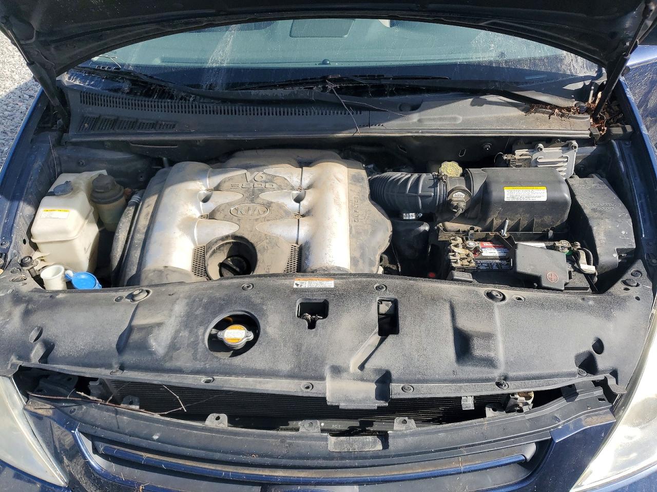 2006 Kia Sedona Lx Blue vin: KNDMB233966079039