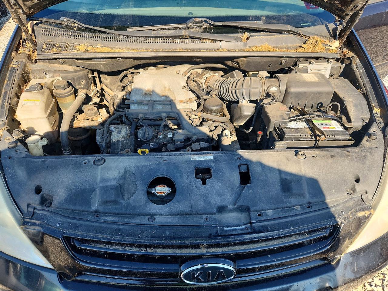 2008 Kia Sedona Lx Black vin: KNDMB233986222204