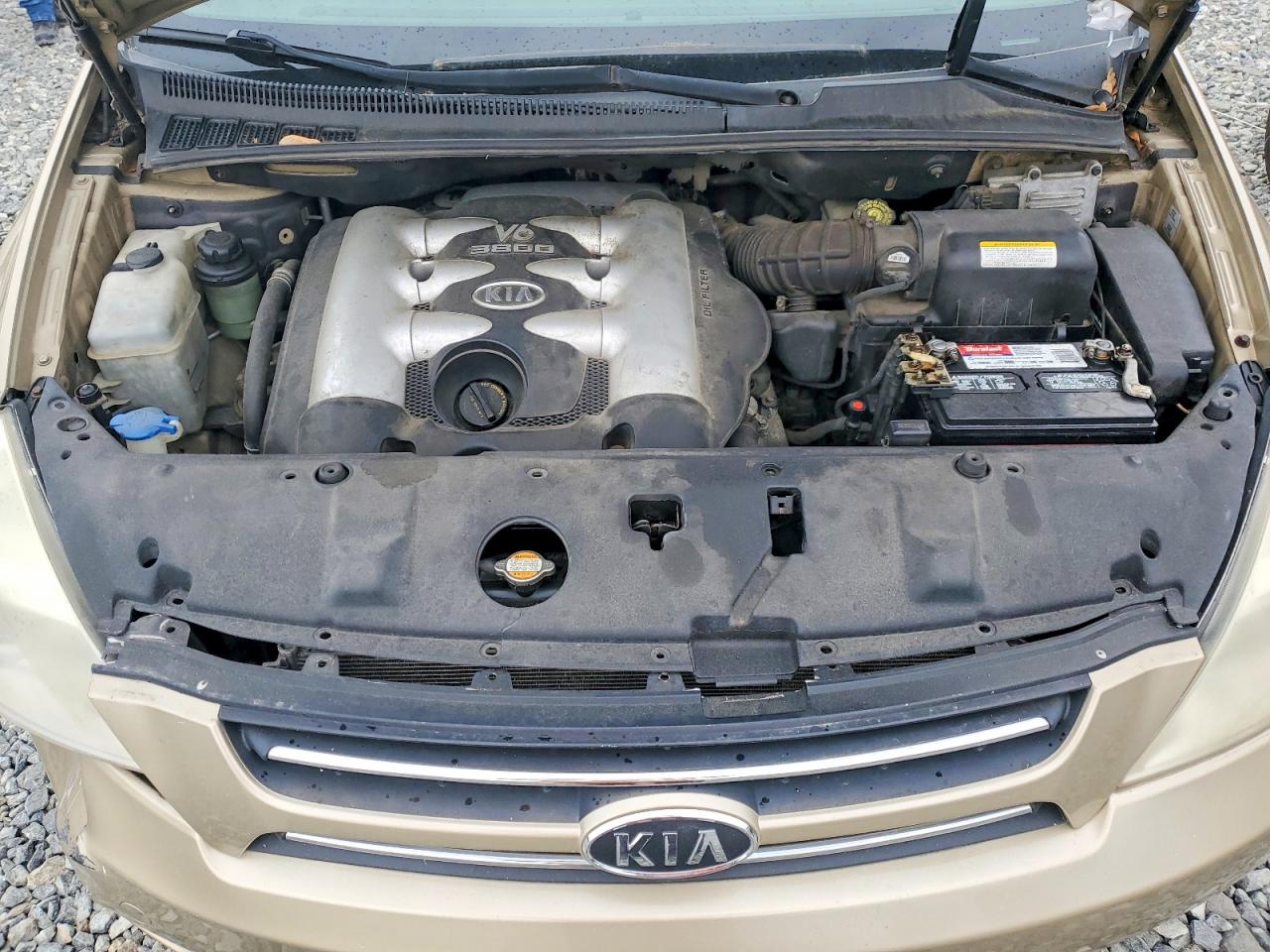 2006 Kia Sedona Lx Beige vin: KNDMB233X66029640