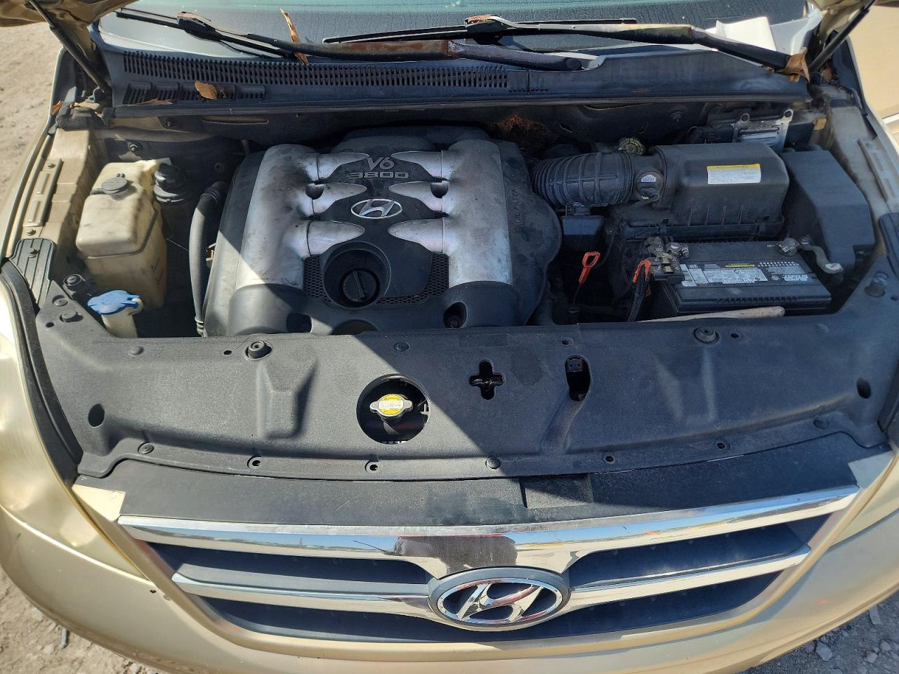 2007 Hyundai Entourage Gls Beige vin: KNDMC233X76011069