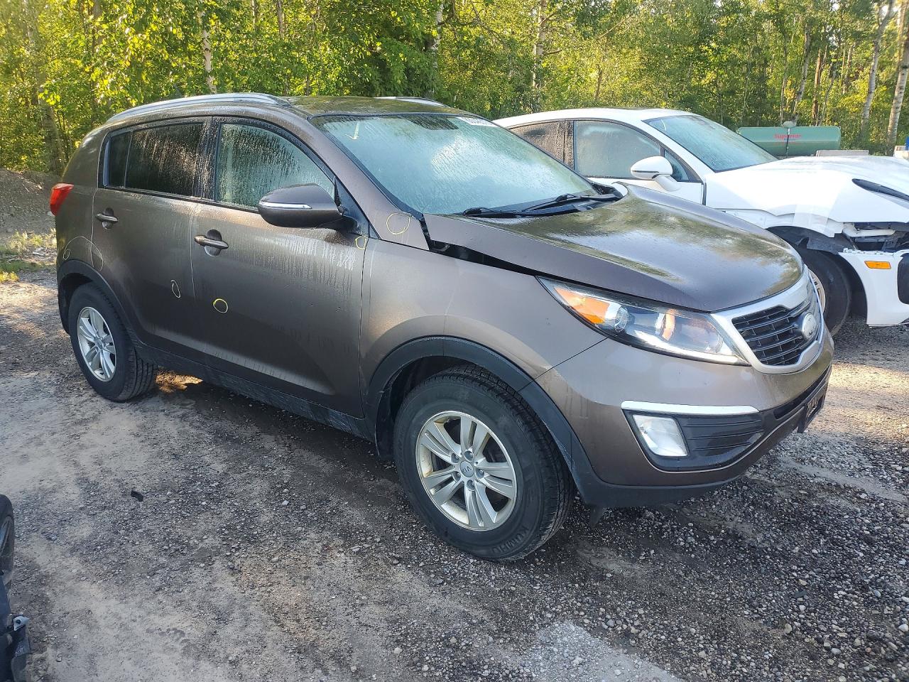 2013 Kia Sportage Base Brown vin: KNDPB3A25D7524803