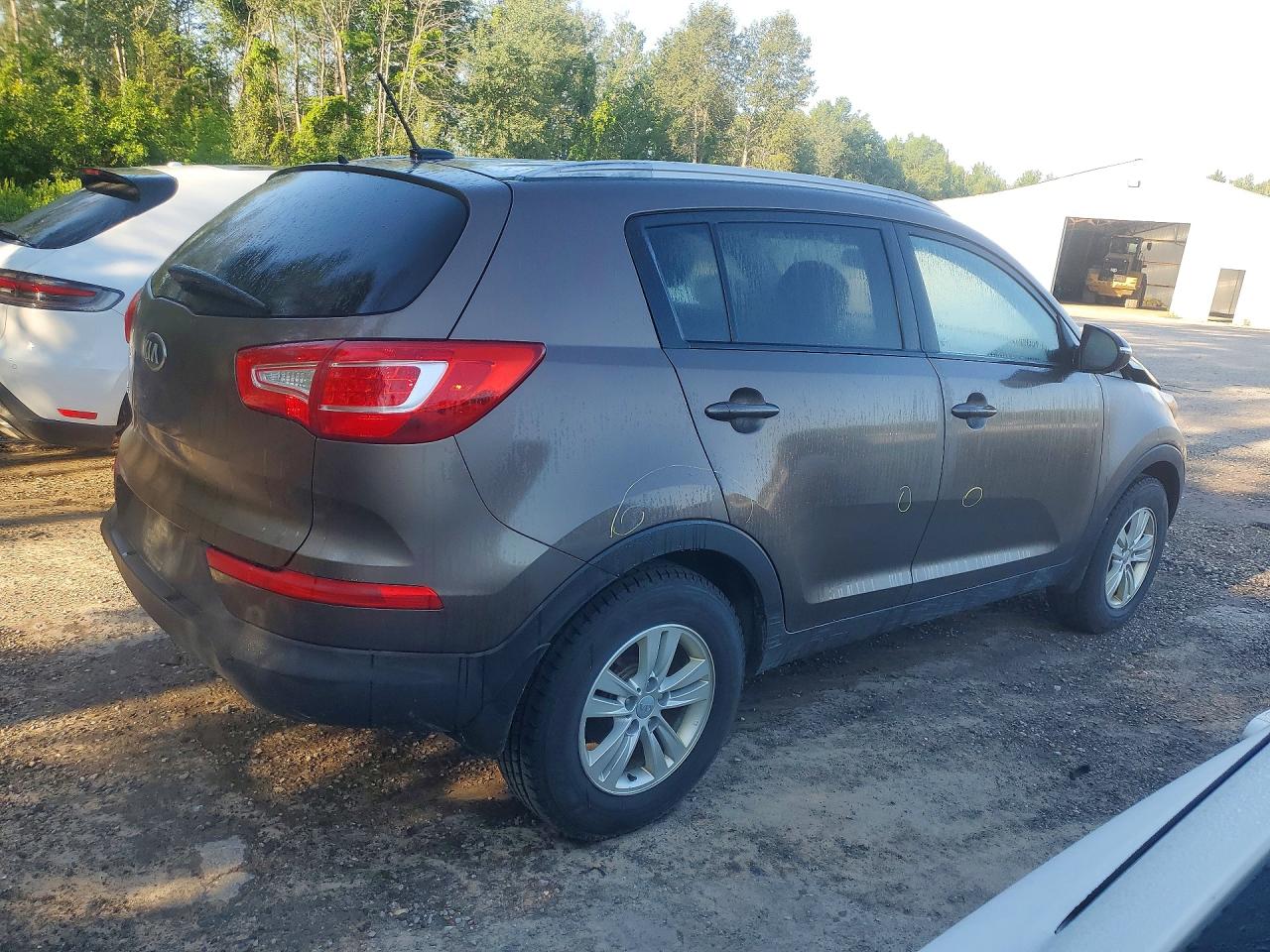 2013 Kia Sportage Base Brown vin: KNDPB3A25D7524803