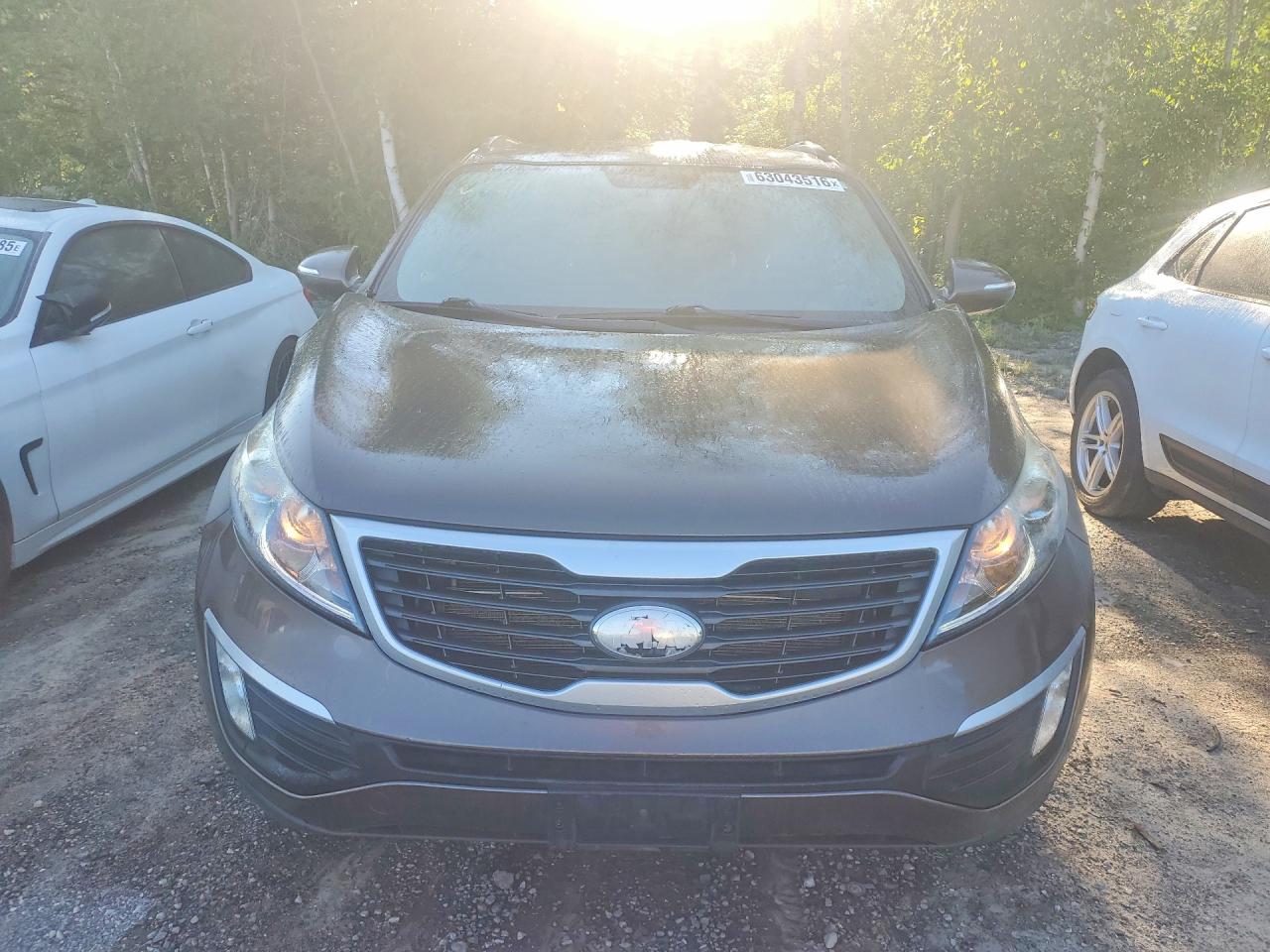 2013 Kia Sportage Base Brown vin: KNDPB3A25D7524803