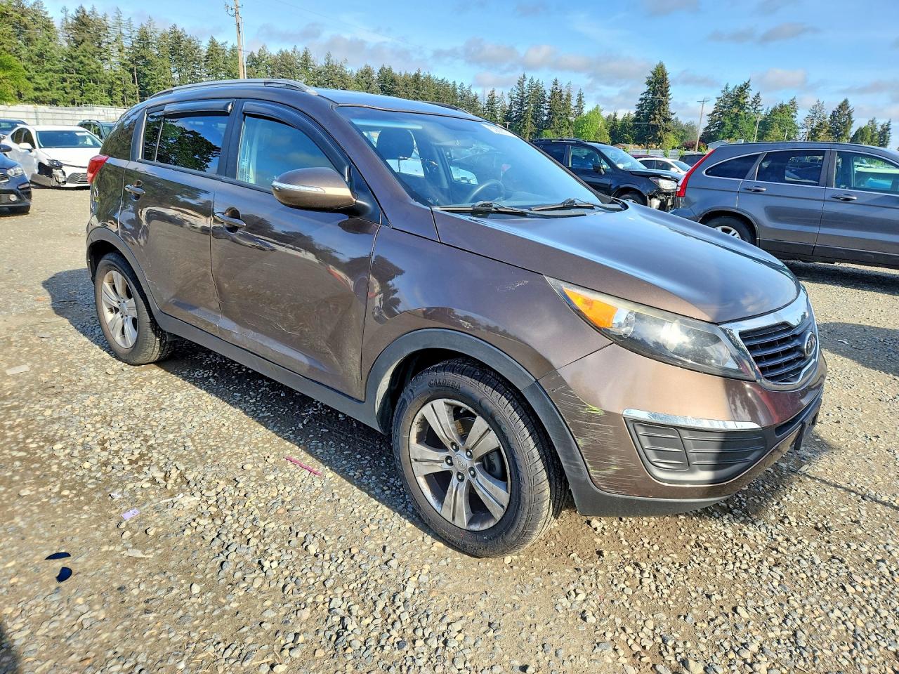 2011 Kia Sportage Lx Brown vin: KNDPB3A29B7083853