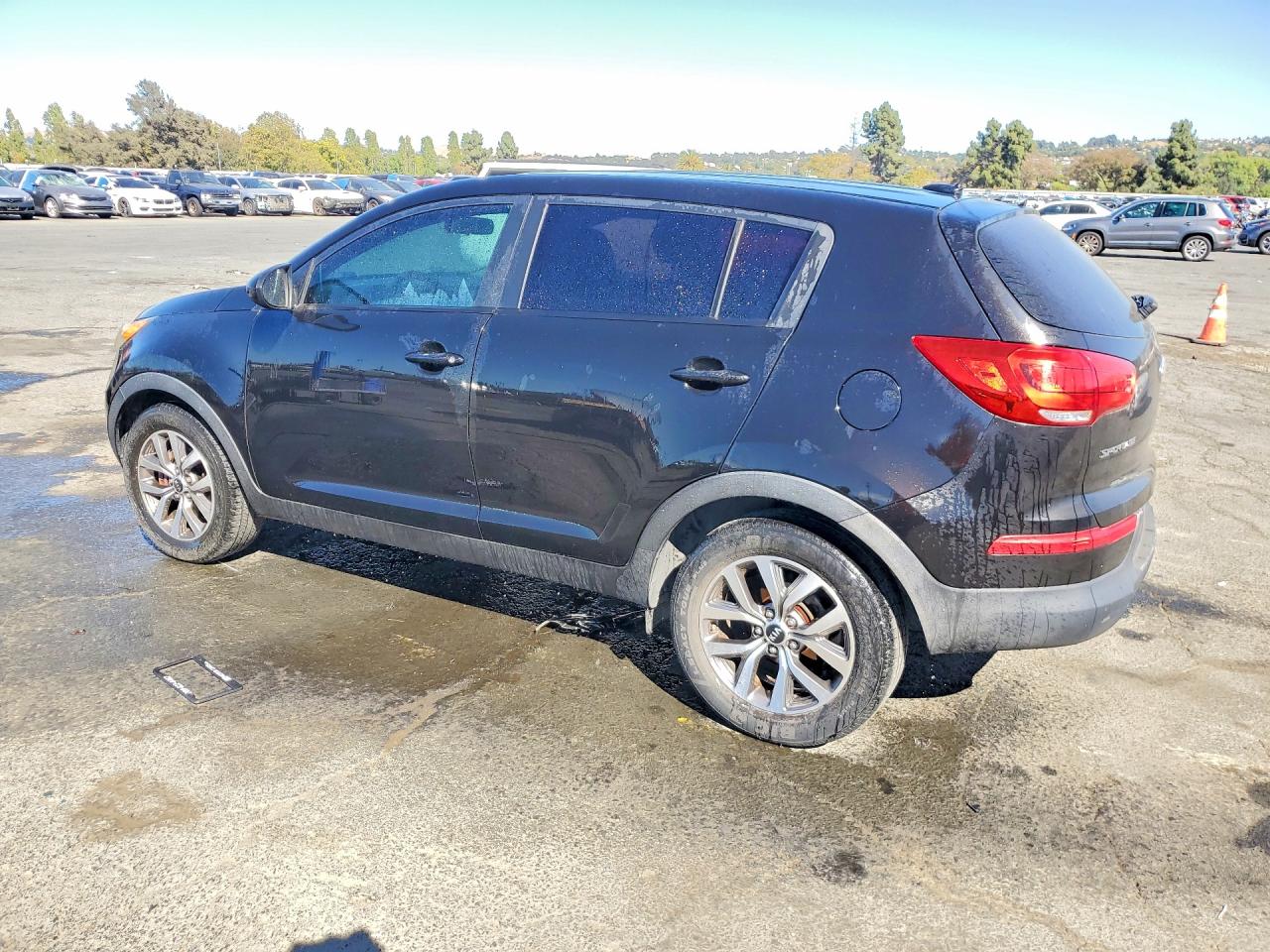 2014 Kia Sportage Lx Black vin: KNDPB3AC0E7651405