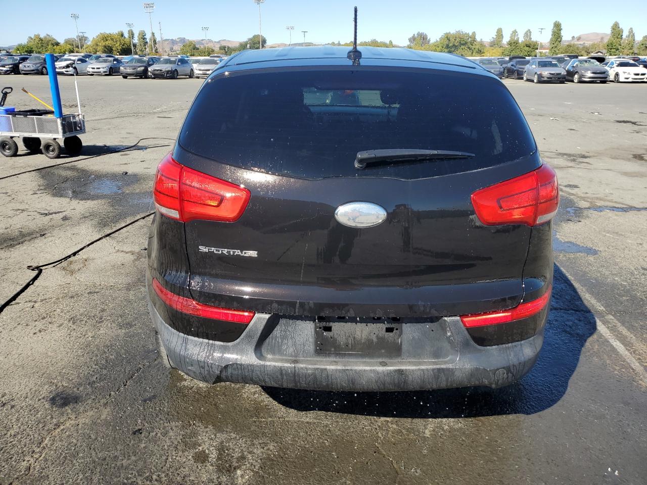 2014 Kia Sportage Lx Black vin: KNDPB3AC0E7651405 Damage: Lift Gate, Chipped, 4