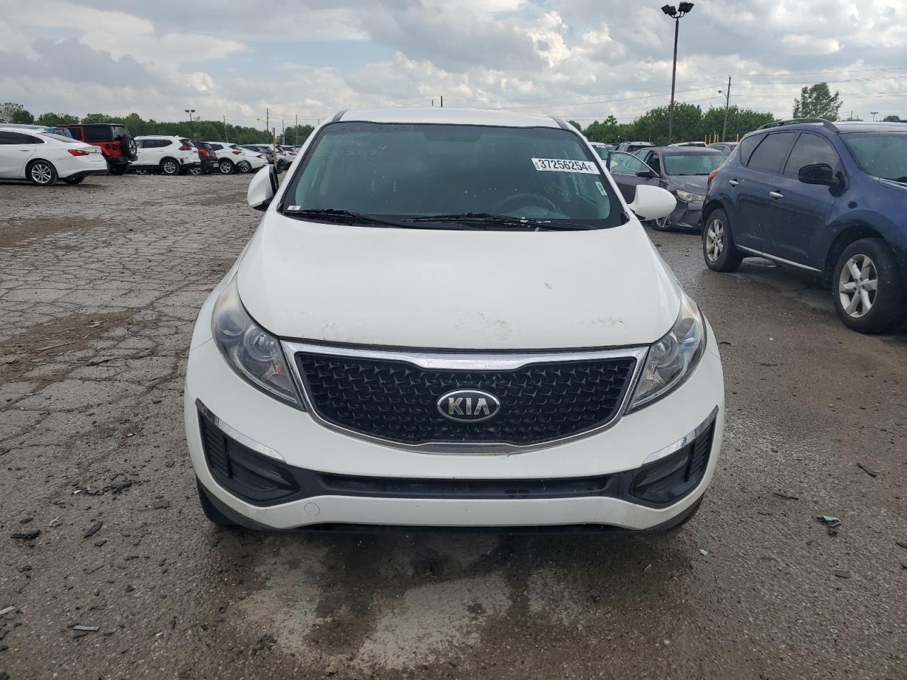 2016 Kia Sportage Lx White vin: KNDPB3AC3G7856848