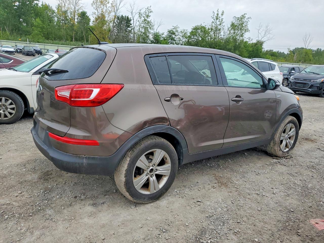2013 Kia Sportage Lx Brown vin: KNDPBCA23D7517221