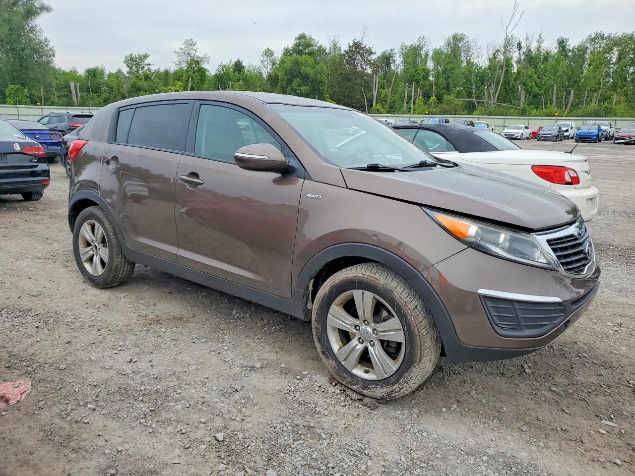 2013 Kia Sportage Lx Brown vin: KNDPBCA23D7517221