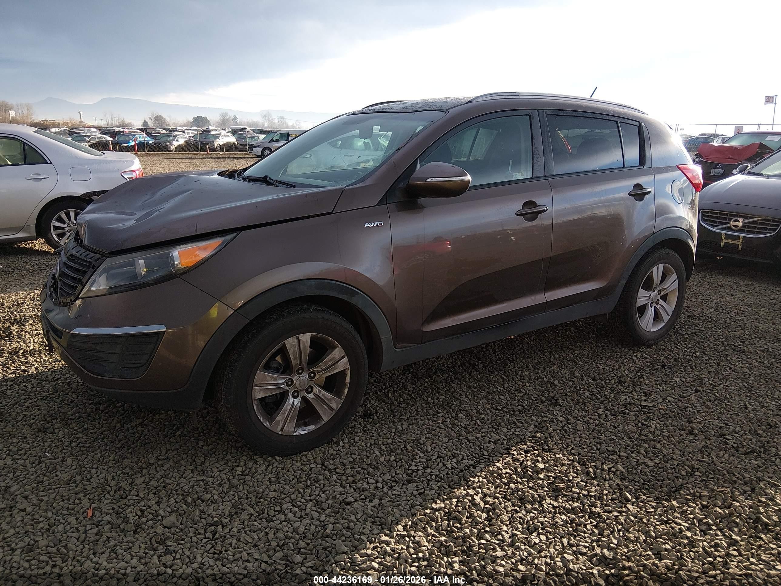 2011 Kia Sportage Lx Dark Brown vin: KNDPBCA29B7017819
