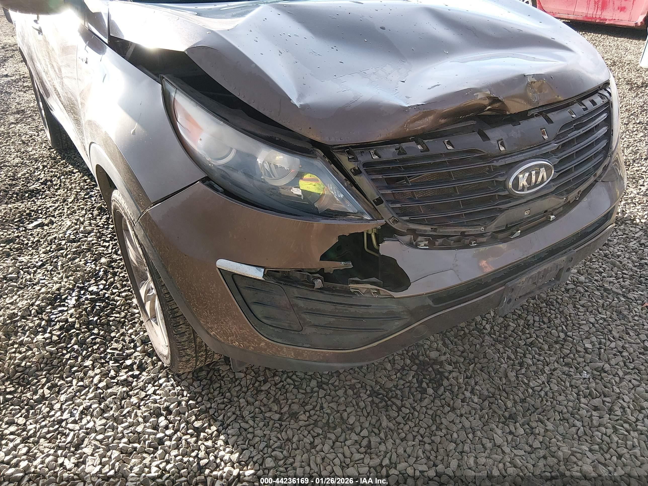 2011 Kia Sportage Lx Dark Brown vin: KNDPBCA29B7017819