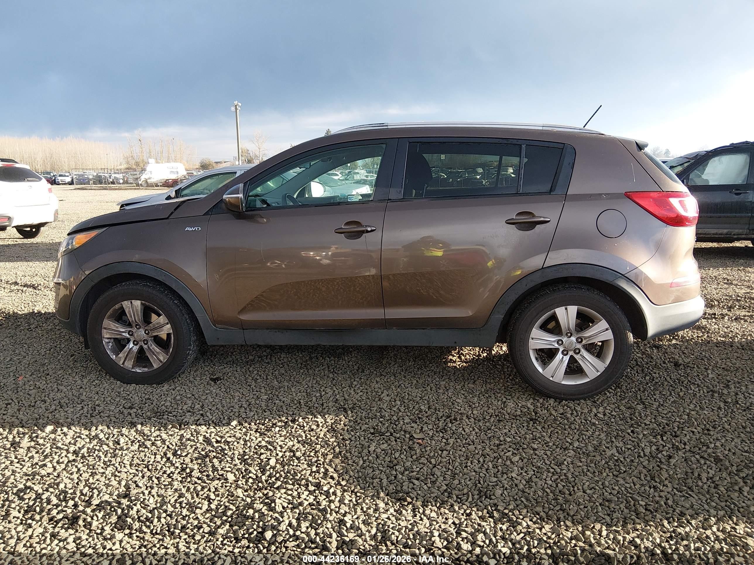 2011 Kia Sportage Lx Dark Brown vin: KNDPBCA29B7017819