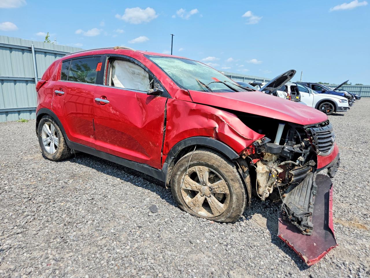2011 Kia Sportage Ex Красный vin: KNDPC3A20B7021125