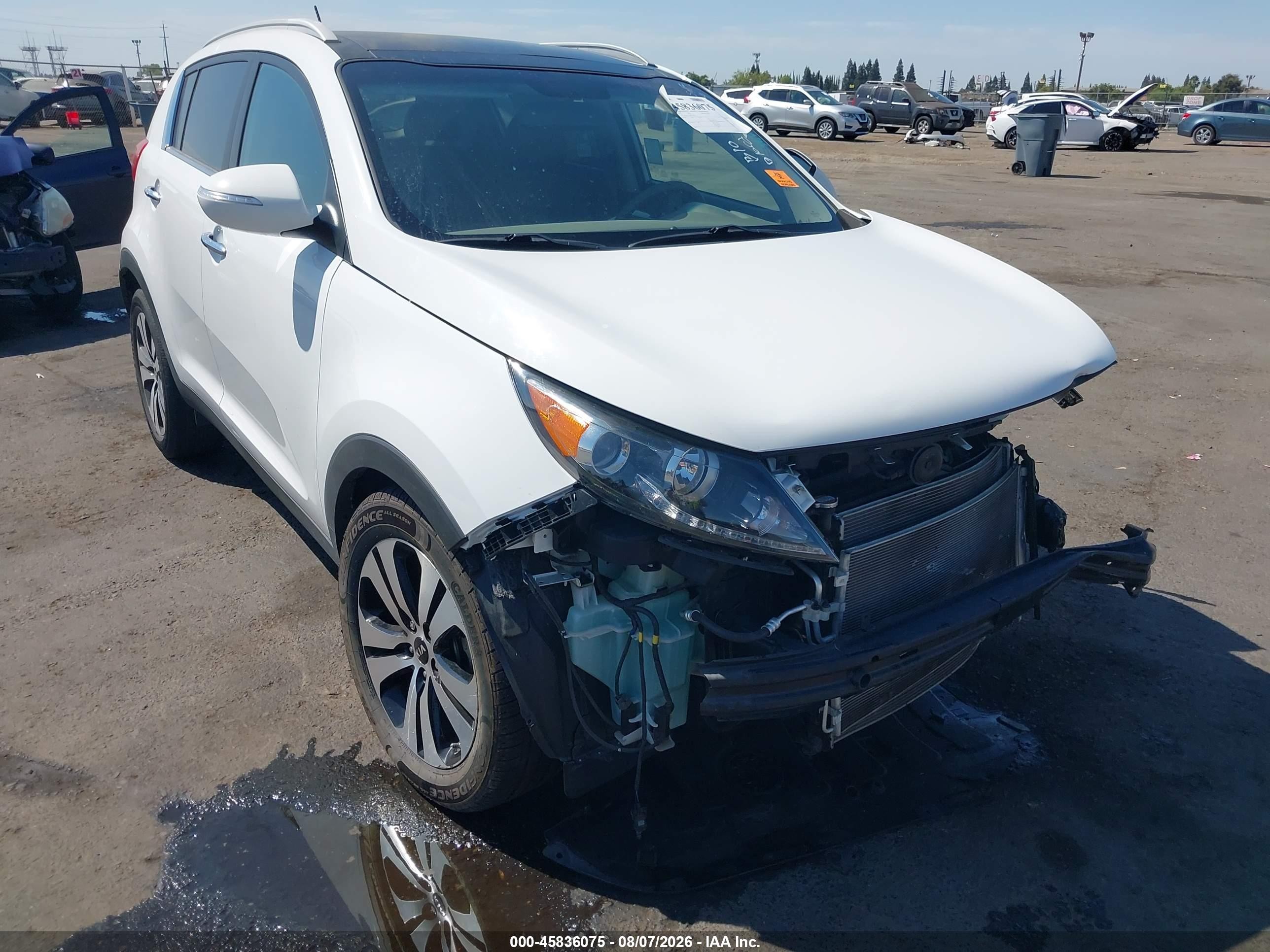 2011 Kia Sportage Ex Белый vin: KNDPC3A26B7139423
